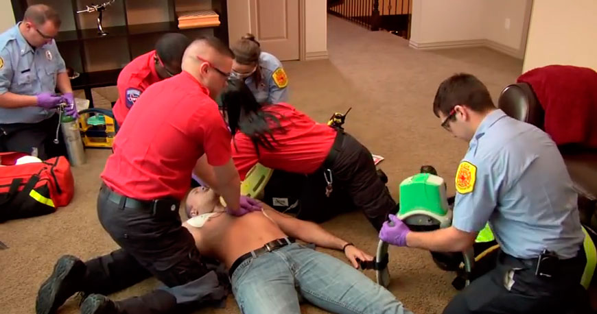 Quisque venenatis mi at